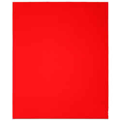 Diablo 9 in. L X 11 in. W 100 Grit Aluminum Oxide Sanding Sheet 4 pk