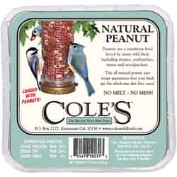 Cole's Natural Peanut Assorted Species Suet Beef Suet 11.75 oz.
