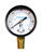 Campbell 2 in. 0 psi 30 psi Pressure Gauge