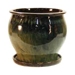 Trendspot 8 in. H Green Ceramic Ceramic Pot