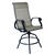 Living Accents Brown Aluminum Barrington Swivel Rocker