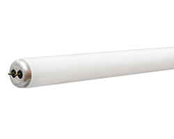 GE Lighting 25 watts T12 33 in. Cool White Fluorescent Bulb Linear 1 pk 1860 lumens