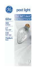 GE Lighting Saf-T-Gard 60 watts A19 Incandescent Bulb 500 lumens White Specialty 1 pk