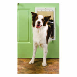 Petsafe Pet Door Large For Pets up to 100 lb. 10-1/8 in. x 15-3/4 in. White Plastic