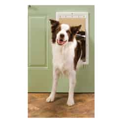 Petsafe Pet Door Large For Pets up to 100 lb. 10-1/8 in. x 15-3/4 in. White Plastic