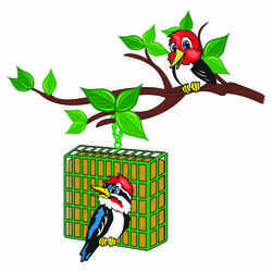 C&S Products High Energy Assorted Species Wild Bird Food Beef Suet 56 oz.