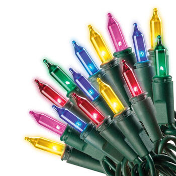 Celebrations Incandescent Incandescent Mini Multicolored 50 ct String Christmas Lights 10.2 ft.