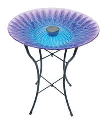 Luminous Garden Glass/Metal Assorted 21.6 in. Solar Bird Bath with Stand