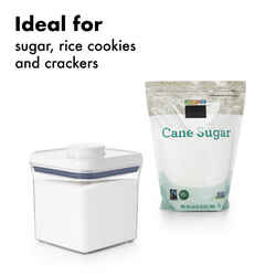 OXO Pop Container 1 pk Good Grips 2.4 qt. Clear