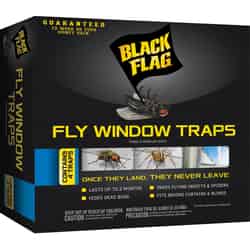 Black Flag Fly Trap 4 pk 4 pk