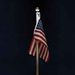 Valley Forge 4 in. L Aluminum Flag Pole Light Brushed