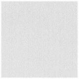 USG Sheetrock Brand 2 ft. W x 2 ft. L Gypsum Square Edge Ceiling Panel Non-Directional