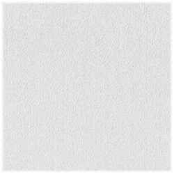 USG Sheetrock Brand 2 ft. W x 2 ft. L Gypsum Square Edge Ceiling Panel Non-Directional