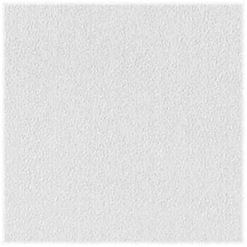 USG Sheetrock Brand 2 ft. W x 2 ft. L Gypsum Square Edge Ceiling Panel Non-Directional