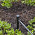 Raindrip Drip Irrigation Bubbler