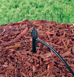 Raindrip Drip Irrigation Bubbler