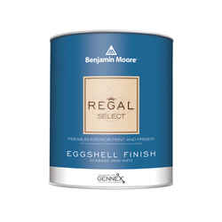 Benjamin Moore Regal Eggshell Base 1 Acrylic Paint 1 qt