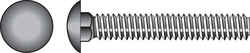 HILLMAN 1/2 Dia. x 5-1/2 in. L Zinc-Plated Steel Carriage Bolt 25 pk