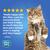 Fresh Step Fresh and Clean Scent 25 lb. Cat Litter