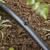 Raindrip Drip Irrigation Hole Plug