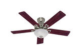 Hunter Fan Astoria 52 in. 5 blade Indoor Brushed Nickel Ceiling Fan