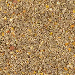 Kaytee Waste Free Assorted Species Wild Bird Food Sunflower Seeds 5 lb.