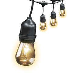 FEIT Electric Clear Decorative String Light Set Clear 20 ft. 10 lights Incandescent