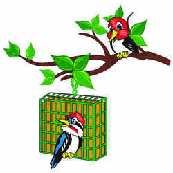 C&S Products Woodpecker Treat Assorted Species Wild Bird Food Beef Suet 11 oz.