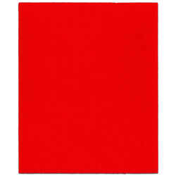 Diablo 5-1/2 in. L X 4-1/2 in. W 100 Grit Aluminum Oxide 1/4 Sheet Sandpaper 6 pk
