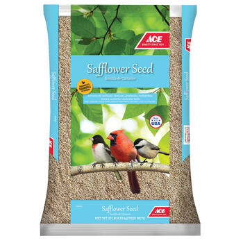 Ace Assorted Species Wild Bird Food Safflower Seeds 10 lb.