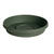 Bloem Terratray 2.7 in. H Thyme Green Resin Traditional Tray