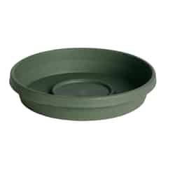 Bloem Terratray 2.7 in. H x 16 in. Dia. Thyme Green Resin Traditional Tray