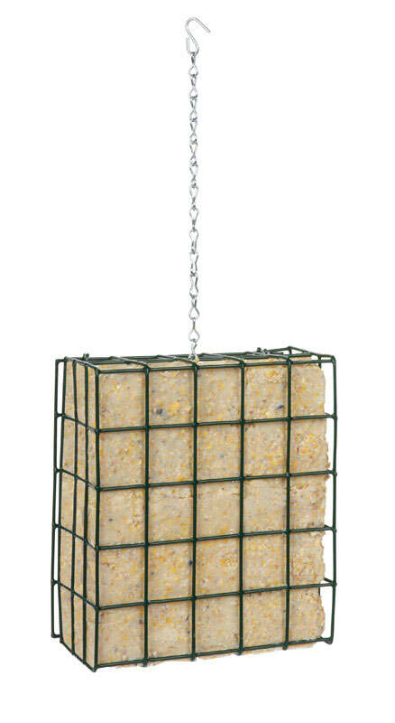 image-2