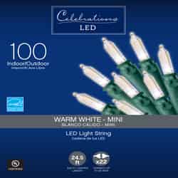 Celebrations Basic LED Mini Clear/Warm White 100 ct String Christmas Lights 24.75 ft.