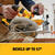 DeWalt 20V MAX XR 20 V 7-1/4 in. Cordless Brushless Circular Saw Kit (Battery & Charger)