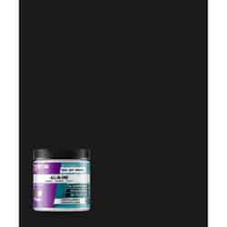 BEYOND PAINT All-In-One Matte Charcoal Acrylic Paint Water-Based 1 pt.