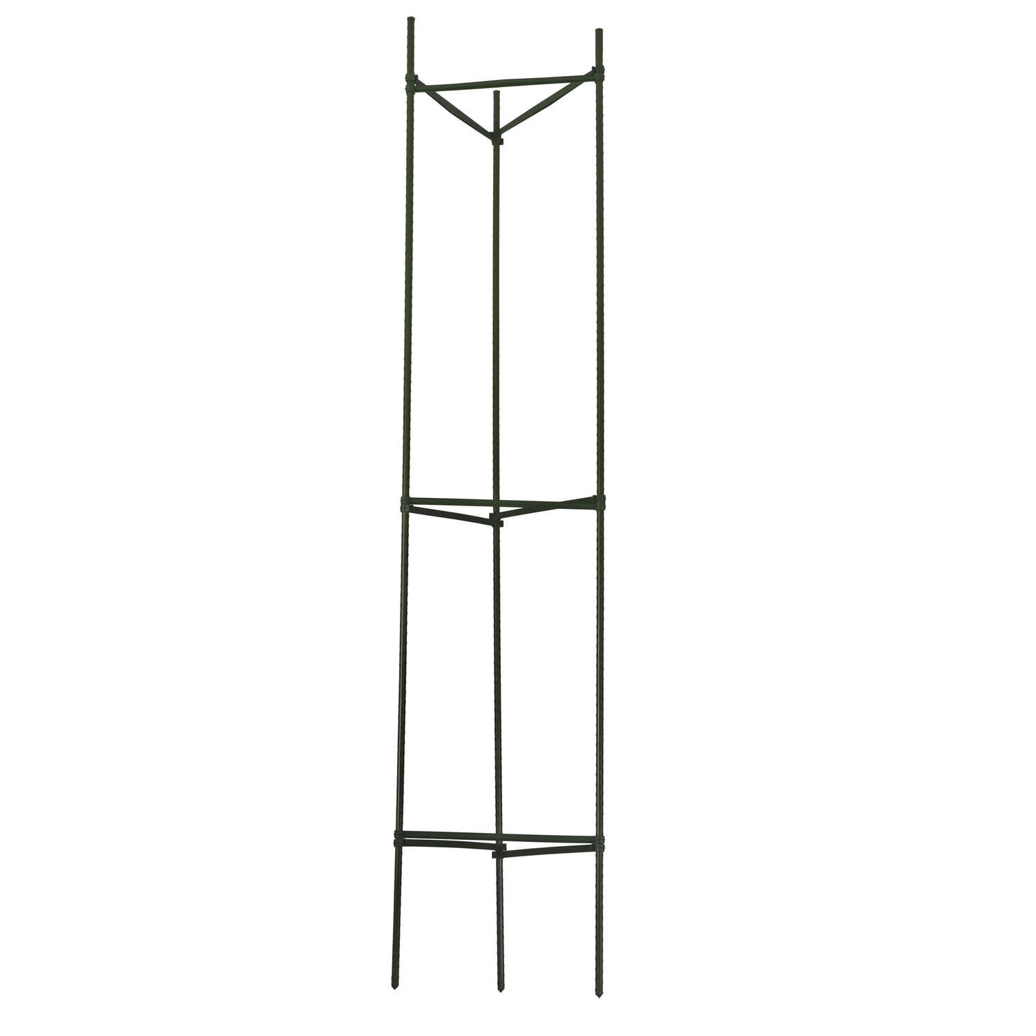 image-2