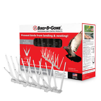 Bird-B-Gone Bird Repelling Spikes For Assorted Species 1 pk