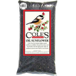 Cole's Assorted Species Wild Bird Food Black Oil Sunflower 8 lb.