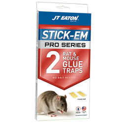 Mice and Rats