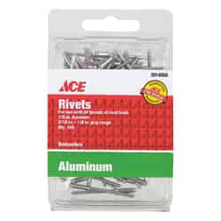 Ace 1/4 L 1/8 Rivets Silver 100 pk Aluminum