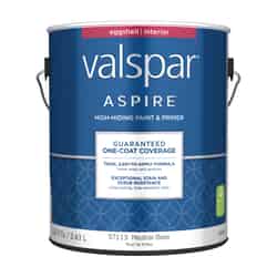 Valspar Aspire Eggshell Tintable Neutral Base Paint and Primer Interior 1 gal