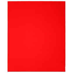 Diablo 9 in. L X 11 in. W 150 Grit Aluminum Oxide Sanding Sheet 4 pk
