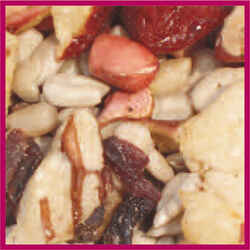 Cole's Nutberry Suet Blend Assorted Species Nutberry Suet Blend Wild Bird Seed Sunflower Meats