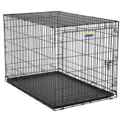 Contour Extra Large Steel Dog Crate 31.9 in. H x 33 in. W Black