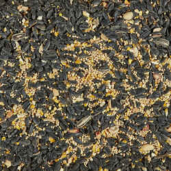 Kaytee Songbird Wild Bird Food Black Oil Sunflower Seed 14 lb.