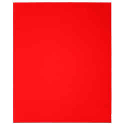 Diablo 9 in. L X 11 in. W 60 Grit Aluminum Oxide Sanding Sheet 4 pk