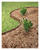 Master Mark Terrace Board 20 ft. L x 4 in. H Lawn Edging Plastic Black