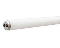 GE Lighting Ecolux 20 watts T12 24 in. Daylight Fluorescent Bulb 1025 lumens Linear 1 pk