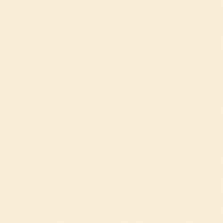 BEYOND PAINT All-In-One Matte Water-Based Acrylic Bone Paint 1 qt.